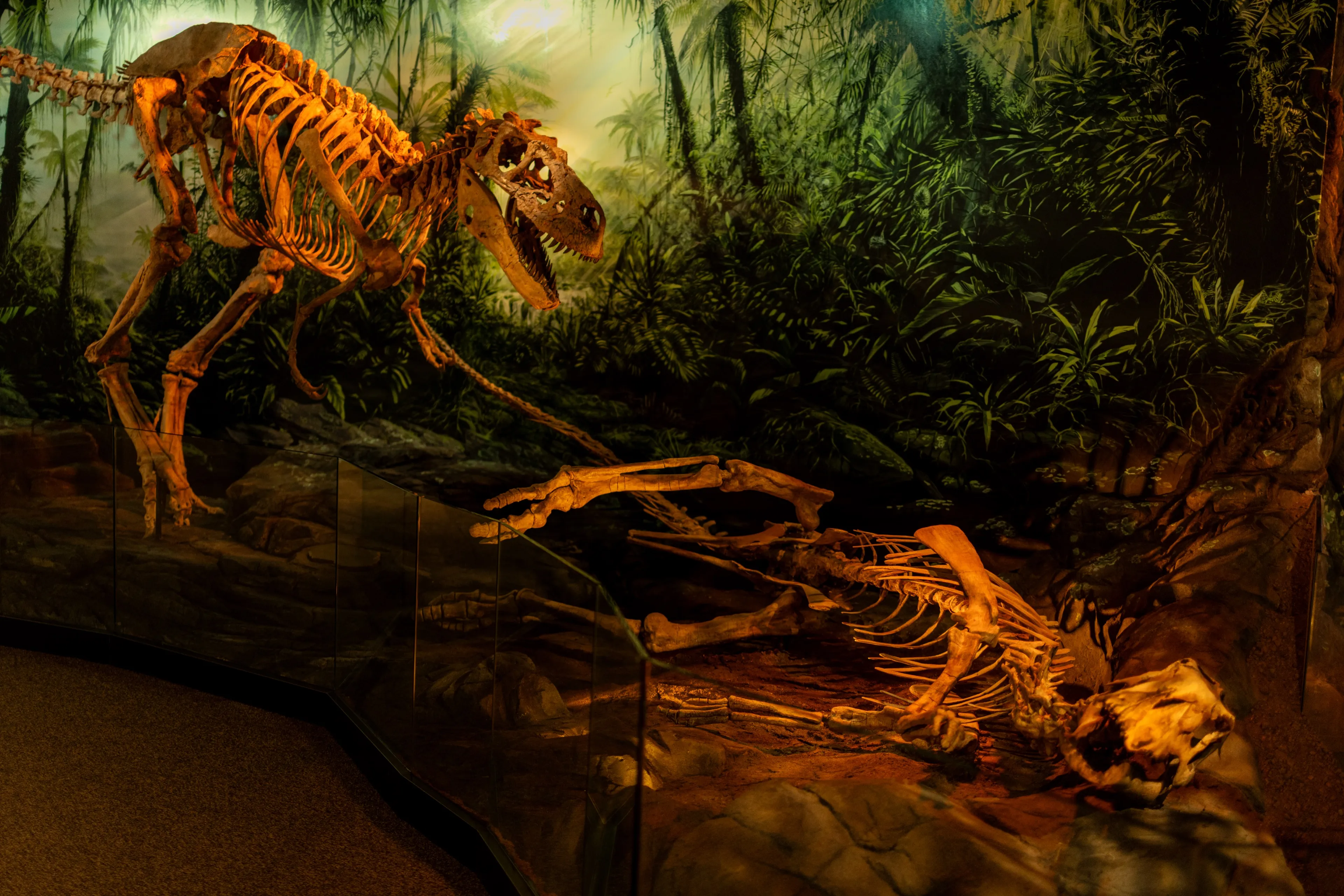 A skeleton among the trees of the forest overture