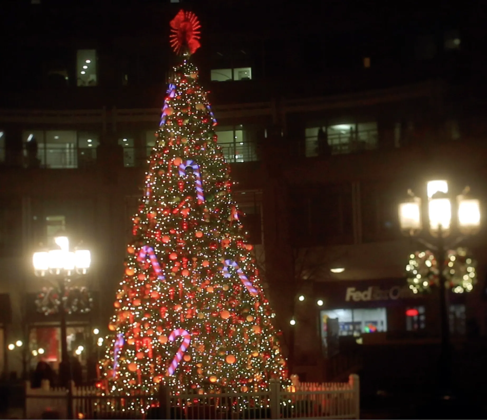 A decorated tree in mid-show, red and white light chasing through its branches, lamp posts beside it